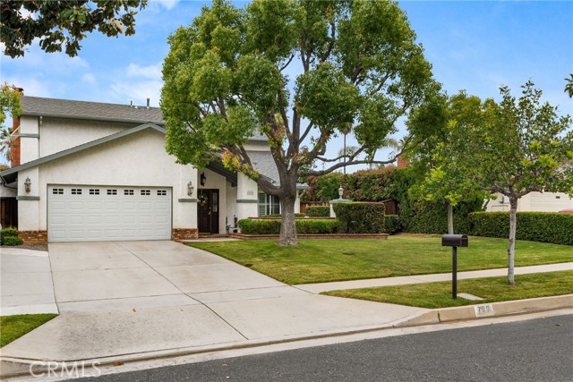 Detail Gallery Image 5 of 48 For 709 Calle De Silva, Redlands,  CA 92374 - 4 Beds | 2/1 Baths