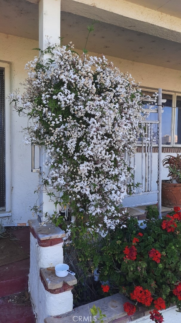 159 S Shasta S Street, Willows CA: https://media.crmls.org/medias/f1fbde2d-ca53-4f91-9cbe-6bdacd9883f5.jpg