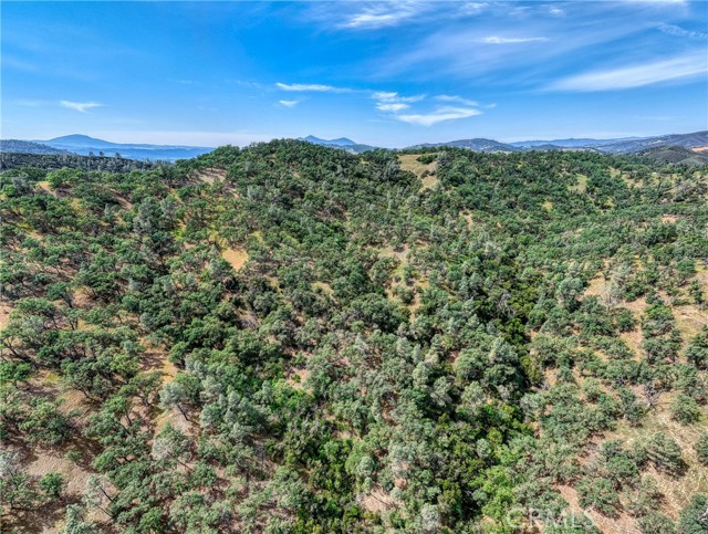 Detail Gallery Image 26 of 42 For 990 Junction Plaza, Clearlake,  CA 95451 - – Beds | – Baths