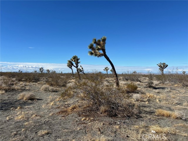 Detail Gallery Image 2 of 4 For 0 Woodcliff, Phelan,  CA 92371 - – Beds | – Baths