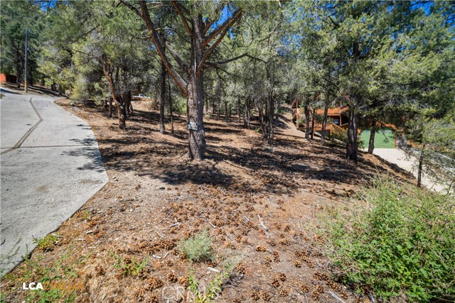 2212 Tirol Drive, Pine Mountain Club CA: https://media.crmls.org/medias/f20d7200-b900-472b-9421-64764086196b.jpg