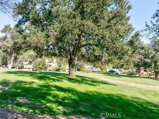 Detail Gallery Image 55 of 60 For 40493 Griffin Dr, Oakhurst,  CA 93644 - 4 Beds | 3/1 Baths