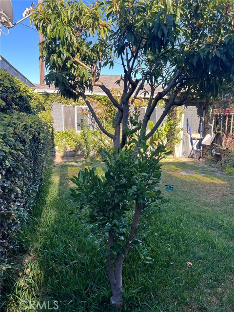 9312 Garden View Avenue, South Gate CA: https://media.crmls.org/medias/f2306736-e572-4c27-b026-7a91c61af2a9.jpg