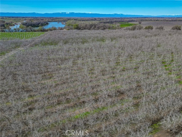 Detail Gallery Image 37 of 39 For 6725 State Highway 99e, Los Molinos,  CA 96055 - 3 Beds | 2/2 Baths