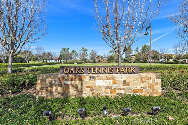 Image 42 of 59 For 12 Belladonna