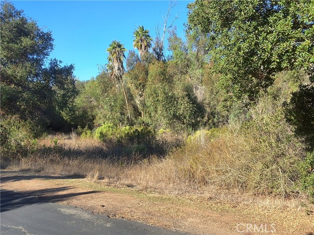 Detail Gallery Image 5 of 25 For 0 via Puerta Del Sol, Bonsall,  CA 92003 - – Beds | – Baths