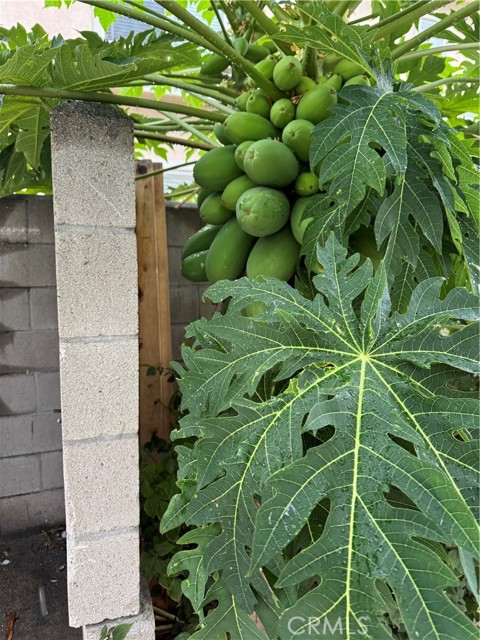 Detail Gallery Image 30 of 32 For 5704 Sultana Ave #D,  Temple City,  CA 91780 - 3 Beds | 2/1 Baths