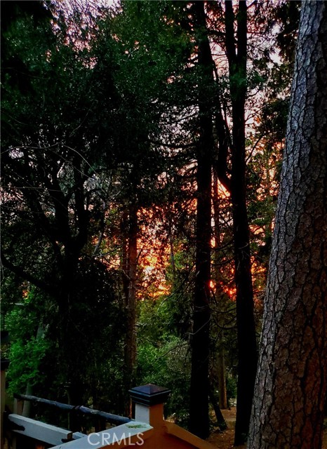 23739 Skyland Drive, Crestline CA: https://media.crmls.org/medias/f23a22d7-e888-496e-838b-171c97088b28.jpg