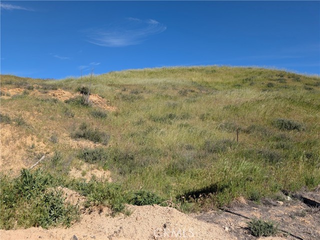 Detail Gallery Image 2 of 18 For 8401 Sierra Hwy, Agua Dulce,  CA 91390 - – Beds | – Baths