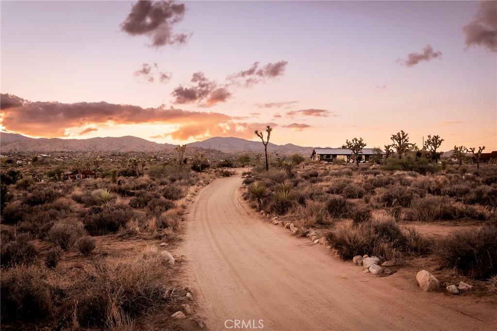 MLS #JT25252986 image #6