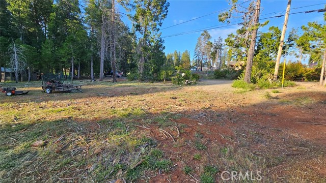 Front Image Thumbnail for CRSN26020174