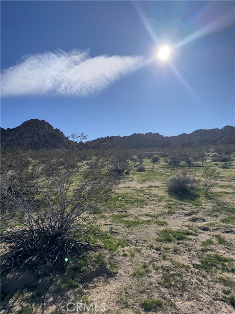 Detail Gallery Image 38 of 57 For 7117 Bonita, Joshua Tree,  CA 92252 - 3 Beds | 2 Baths