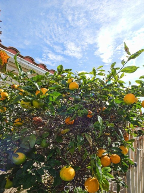 Detail Gallery Image 19 of 20 For 3815 W 190th St, Torrance,  CA 90504 - 3 Beds | 2 Baths