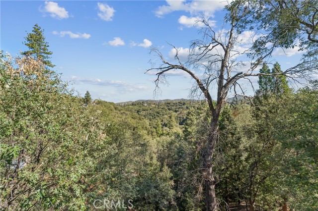 24798 Edelweiss, Crestline, CA 92325