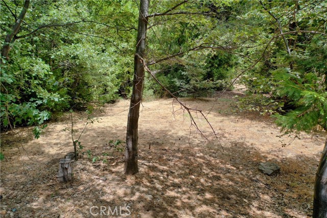 Detail Gallery Image 3 of 15 For 27513 Meadow Bay Dr, Lake Arrowhead,  CA 92352 - – Beds | – Baths