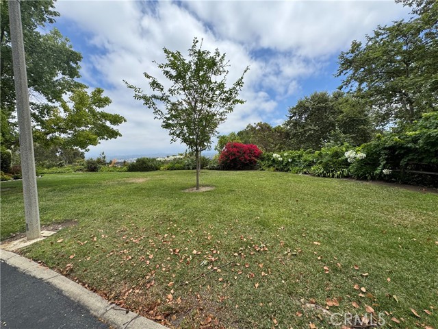 4026 Calle Sonora Este, Laguna Woods CA: https://media.crmls.org/medias/f252556e-c8bd-4370-a458-0c9ad02731f0.jpg