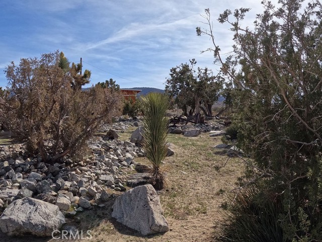 Detail Gallery Image 6 of 67 For 30000 Buchannon Ranch Rd, Llano,  CA 93544 - 3 Beds | 2 Baths