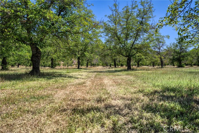 Detail Gallery Image 5 of 31 For 1286 Pitney Ln, Upper Lake,  CA 95485 - – Beds | – Baths