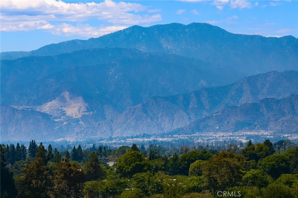 https://media.crmls.org/medias/f25994b9-f245-499f-b139-5e839fbcde65.jpg?preset=X-Large