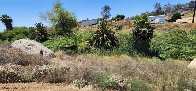 18396 Richard M Nixon Court, Riverside, California 92508, ,Land,For Sale,18396 Richard M Nixon Court,CRTR23124509