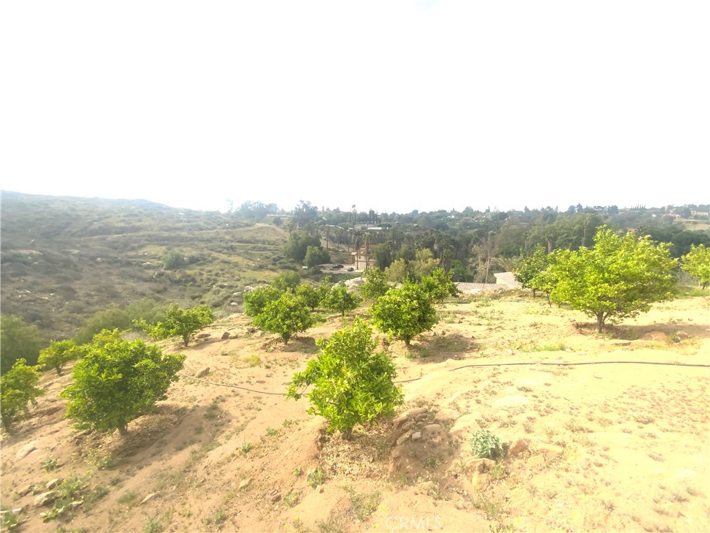 https://media.crmls.org/medias/f2611d69-c012-4b15-869d-ecb6cfc358ea.jpg?preset=X-Large
