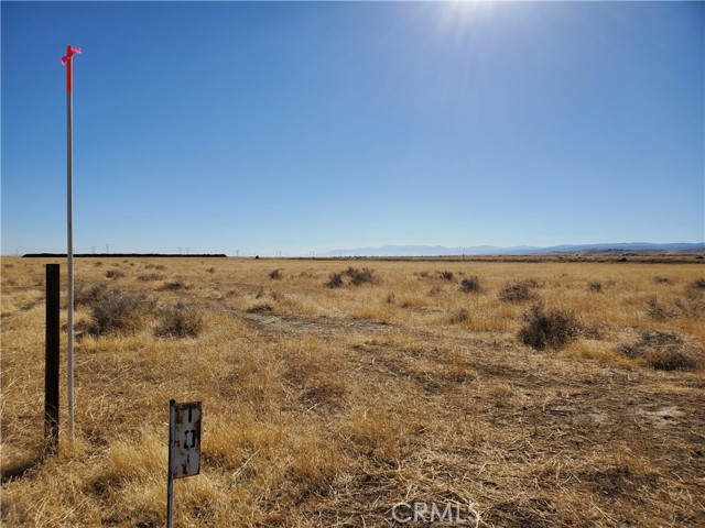 2 AC 168th W Street, Lancaster CA: https://media.crmls.org/medias/f2616b56-7c28-4dd2-a5d1-ee67289014ff.jpg