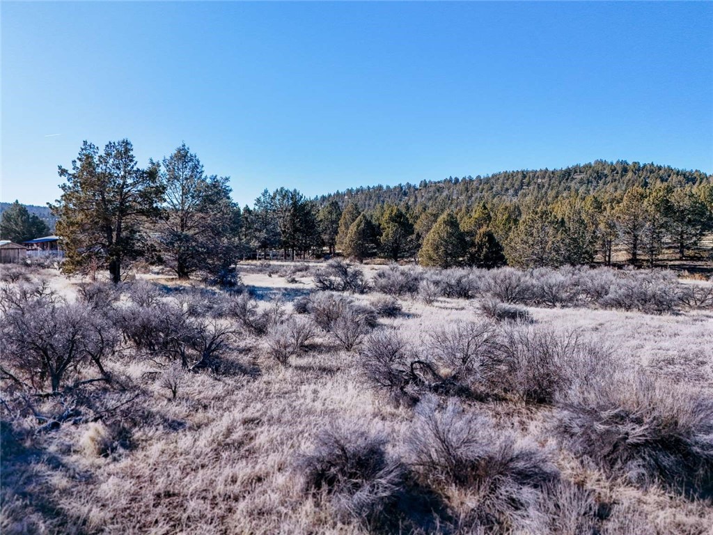 Detail Gallery Image 18 of 19 For 0 Cayote Dr, Alturas,  CA 96101 - – Beds | – Baths