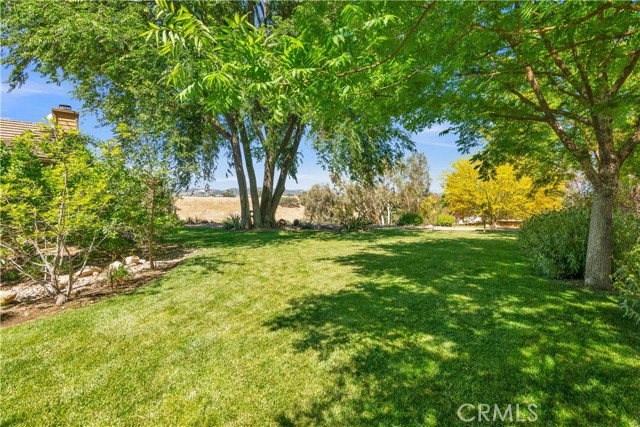 4525 Buena Vista Drive, Paso Robles CA: https://media.crmls.org/medias/f2685f0f-a90c-436c-a004-0e5b377f1cd5.jpg
