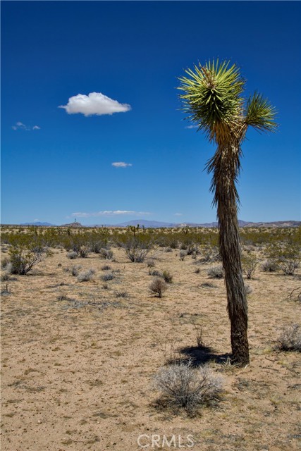 Detail Gallery Image 8 of 21 For 888 Lucky Ln, Landers,  CA 92285 - – Beds | – Baths