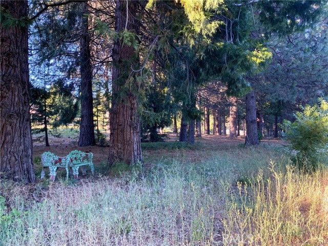 Detail Gallery Image 60 of 65 For 2737 S Old Stage Rd, Mount Shasta,  CA 96067 - 3 Beds | 2/1 Baths