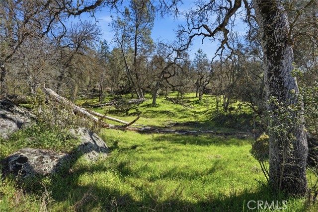 Detail Gallery Image 7 of 29 For 4260 Burl, Mariposa,  CA 95338 - – Beds | – Baths