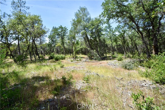 0 Mackey Court, Oroville CA: https://media.crmls.org/medias/f276a295-2001-42f5-9aa8-e941171f3e19.jpg