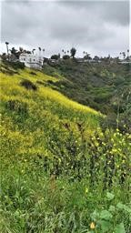 MLS #OC24173816 img 1