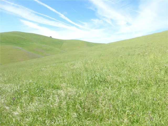 Detail Gallery Image 10 of 42 For 0 Douglas Rd. (Lot 42), San Miguel,  CA 93451 - – Beds | – Baths