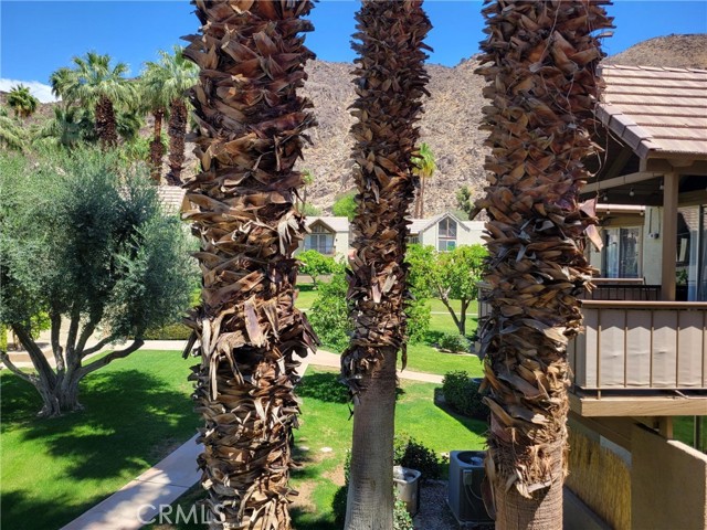 Detail Gallery Image 35 of 50 For 78130 Cortez Ln #53,  Indian Wells,  CA 92210 - 1 Beds | 1 Baths