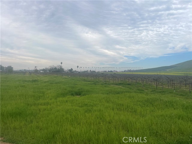 Detail Gallery Image 6 of 6 For 0 E Olive Ave, Porterville,  CA 93257 - – Beds | – Baths