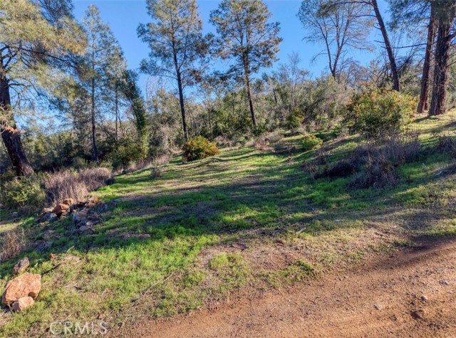 Detail Gallery Image 6 of 18 For 3522 Filmore Ave, Clearlake,  CA 95422 - – Beds | – Baths