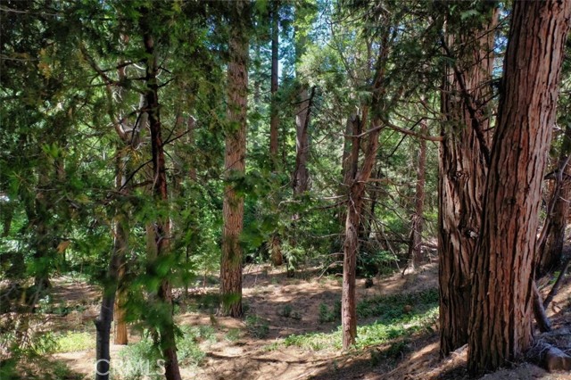 388 State Hwy 173, Lake Arrowhead, CA, 92352 388 State Hwy 173, Lake Arrowhead, CA, 92352