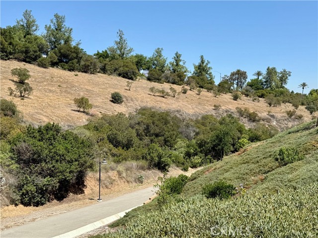 2454 Nova Way, Corona CA: https://media.crmls.org/medias/f2920706-5470-461d-abd0-46fcd96019df.jpg