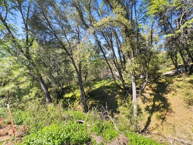 Detail Gallery Image 6 of 42 For 22666 Lower Quail Mine Rd, Sonora,  CA 95370 - 2 Beds | 1 Baths