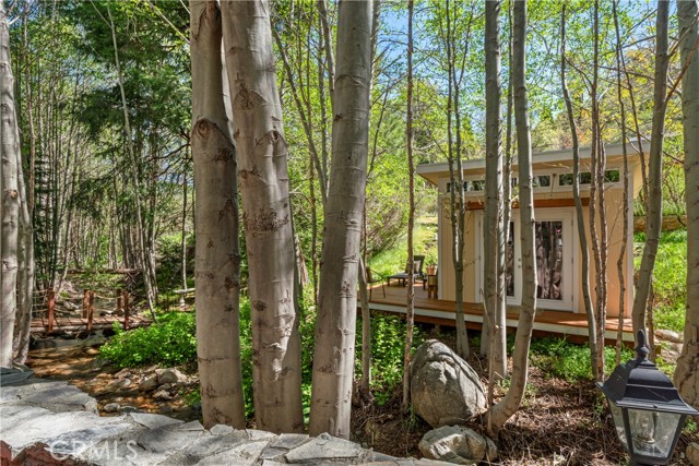 29613 Hook Creek Road, Cedar Glen CA: https://media.crmls.org/medias/f29cb916-0cdc-4284-a72c-009e55ef0578.jpg