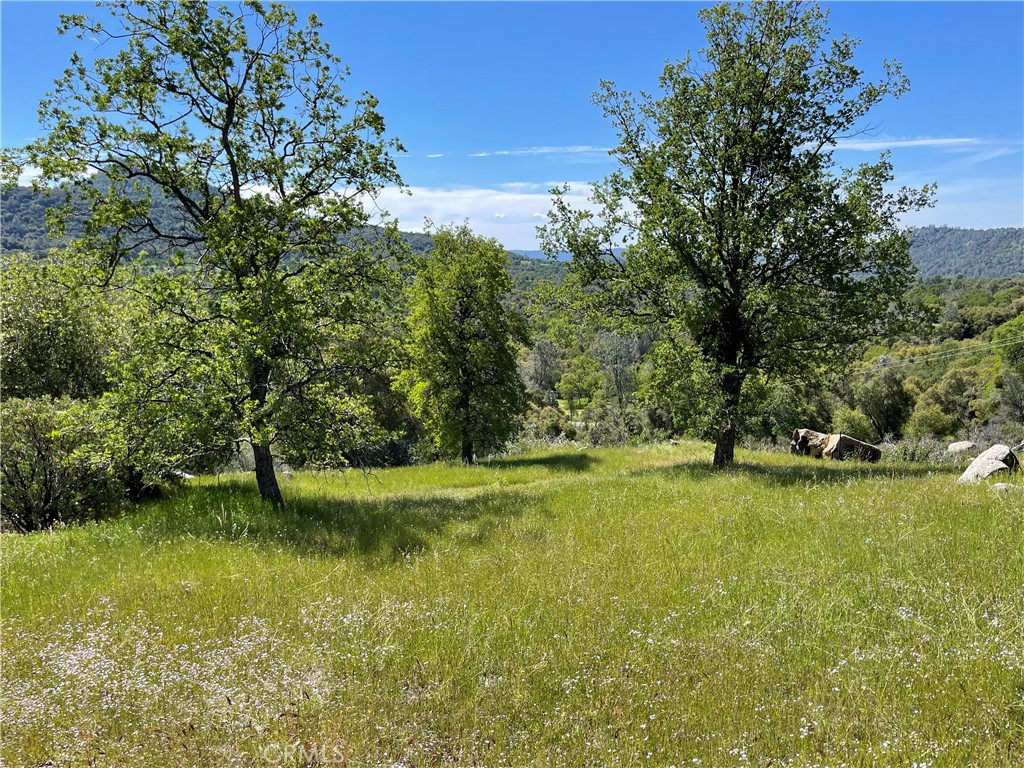MLS #MP25096218 image #16