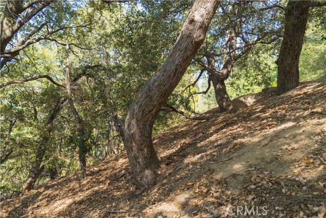 0 Chillon Drive, Crestline, California 92325, ,Land,For Sale,0 Chillon Drive,CRRW22222342