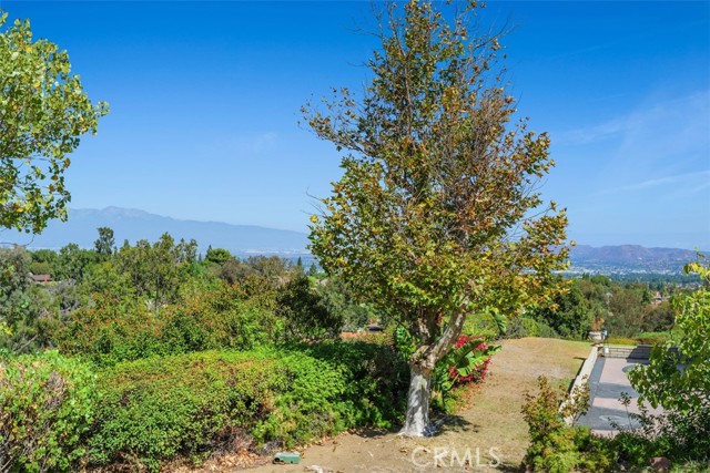 Detail Gallery Image 36 of 36 For 2672 Condor Cir, Corona,  CA 92882 - 4 Beds | 2 Baths