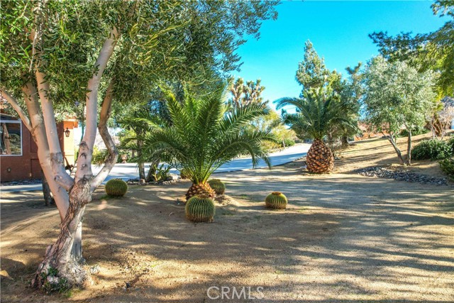 Detail Gallery Image 10 of 65 For 61218 Sandalwood Trl, Joshua Tree,  CA 92252 - 3 Beds | 2 Baths