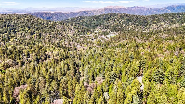 22384 Crest Forest Road, Cedarpines Park CA: https://media.crmls.org/medias/f2adcfeb-ea09-4c5d-af3e-b2a45e59da0c.jpg