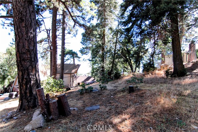 Detail Gallery Image 23 of 24 For 1109 Scenic Way, Rimforest,  CA 92378 - 2 Beds | 1 Baths