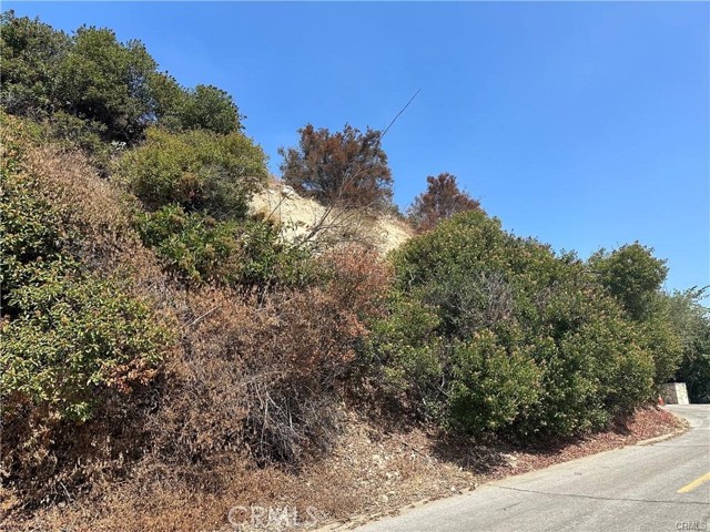 Detail Gallery Image 16 of 27 For 1525 Inverness Dr, Pasadena,  CA 91103 - – Beds | – Baths