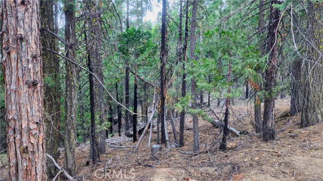 0 Mill Creek Road, Yreka, CA, 96097 0 Mill Creek Road, Yreka, CA, 96097