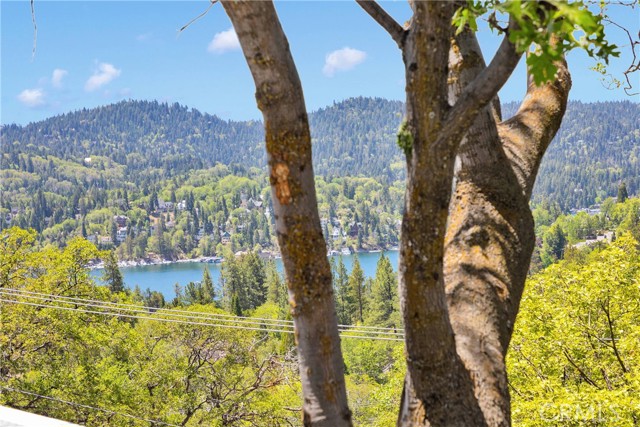 Detail Gallery Image 5 of 61 For 28720 Zion Dr, Lake Arrowhead,  CA 92352 - 4 Beds | 3 Baths